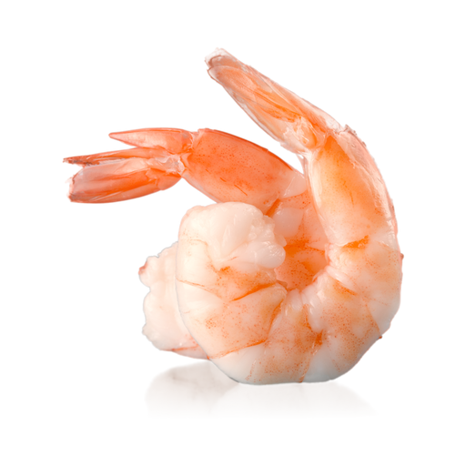 Shrimp Flavour (Powder)