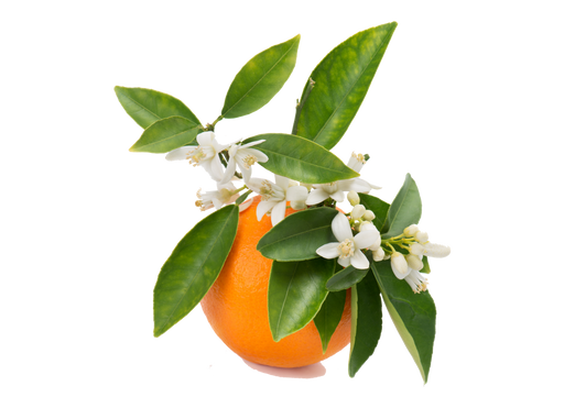 Orange Blossom Flavour (Liquid)